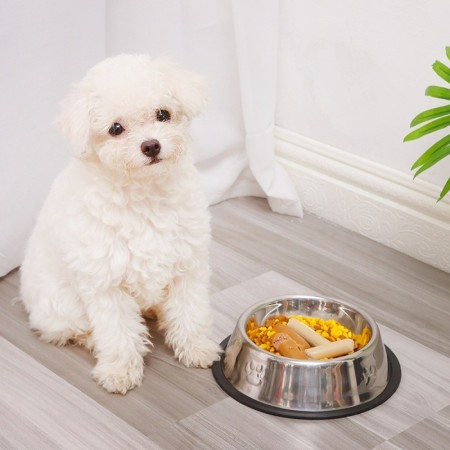 Bol Mancare Catei, Inox, 26x5 cm
