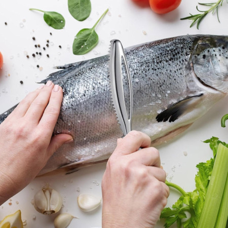 Perie de Curatare Solzi Peste, Cyrax, din Otel Inoxidabil, 24 x 3 cm, Gri