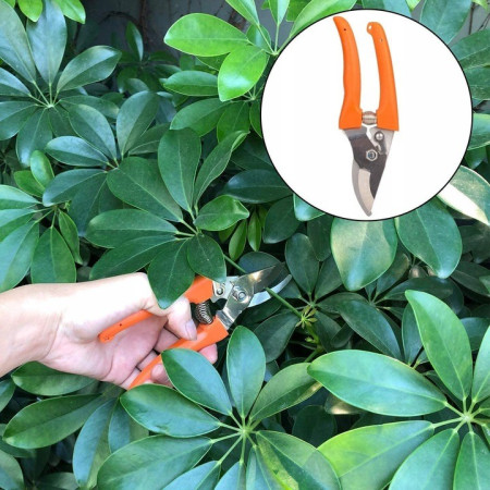 Set 12 Unelte de Gradina,  pentru Plantare Prelucrare Sol si Ingrijire Plante, Manere Portocalii, Material PVC si Cardboard, Cutie Inclusa, 37x28 cm, Negru