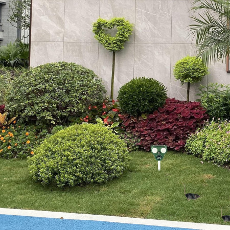 Aparat Solar LED cu Ultrasunete,  Repelent pentru Animale Mari si Mici, Lumina Rosie si Alba, Anti Rozatoare, Anti Insecte, Frecventa 13.5KHZ-65 KHZ, Senzor PIR, 13 x 14.7 x 24.5 cm, Verde