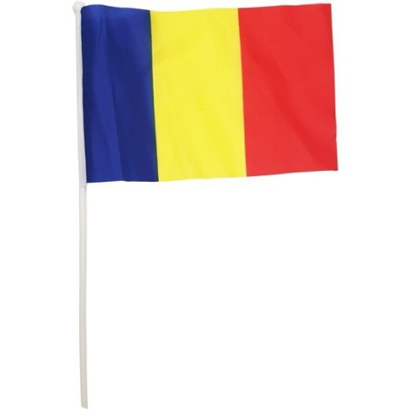 Set 12 Steaguri de Mana Tricolor,  Dimensiune 20x30 cm, Stegulet, Drapel