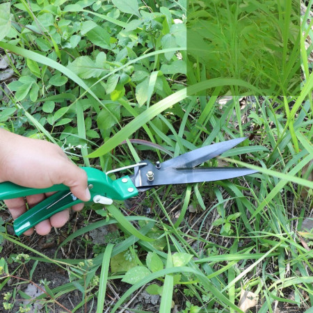 Set 10 accesorii pentru gradinarit  geanta depozitare inclusa, otel inoxidabil, 37 x 28 cm, verde