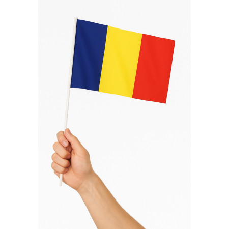 Set 12 Steaguri de Mana Tricolor,  Dimensiune 20x30 cm, Stegulet, Drapel